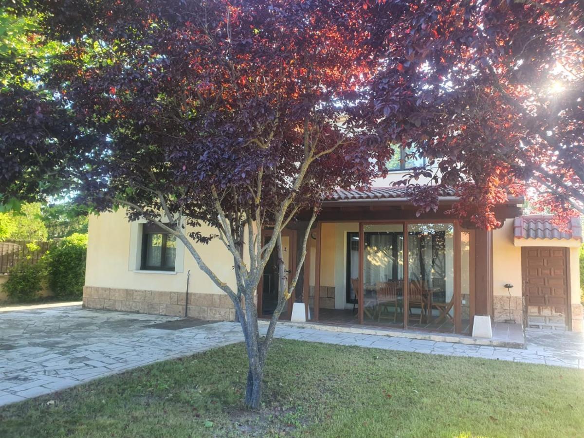 El Rincon De Los Abuelos Tudela de Duero Exterior foto